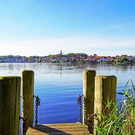 Waldgefluester Am Plauer