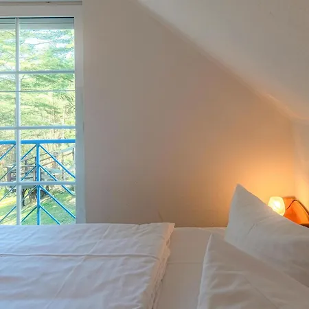 Waldgefluester Am Plauer *