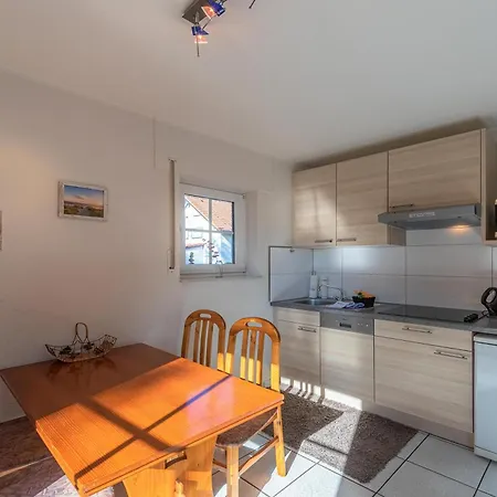 Waldgefluester Am Plauer Fuenfseen