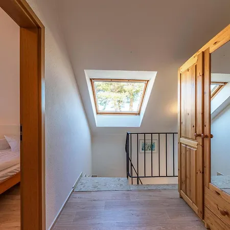 Waldgefluester Am Plauer Fuenfseen