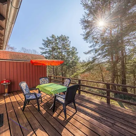 Waldgefluester Am Plauer