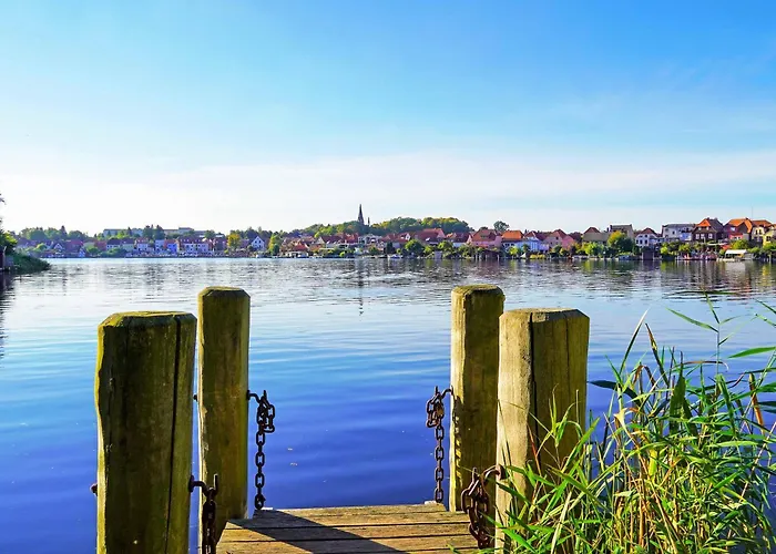 Waldgefluester Am Plauer