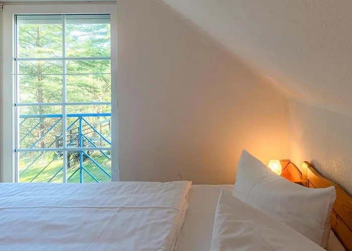 Waldgefluester Am Plauer *