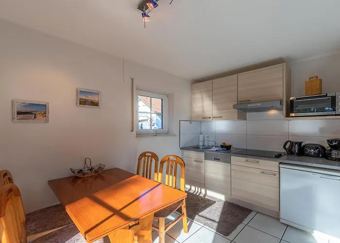 Waldgefluester Am Plauer Fuenfseen