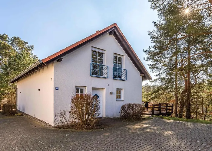 Waldgefluester Am Plauer