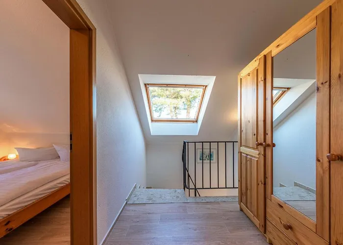 Waldgefluester Am Plauer Fuenfseen