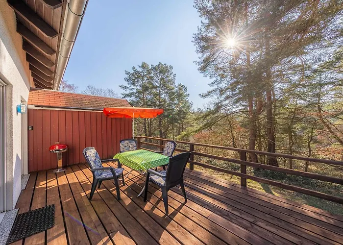 Waldgefluester Am Plauer